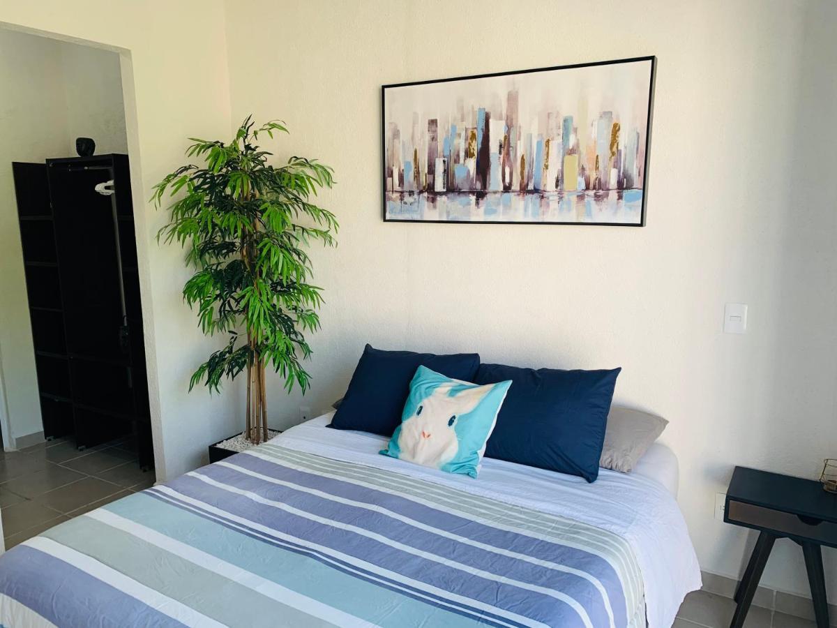 Franks House Luxury Apartment "Shared House" Cancun Ngoại thất bức ảnh